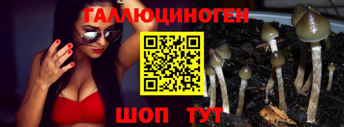 Галлюциногенные грибы мицелий  Вход с VPN  Ревда 